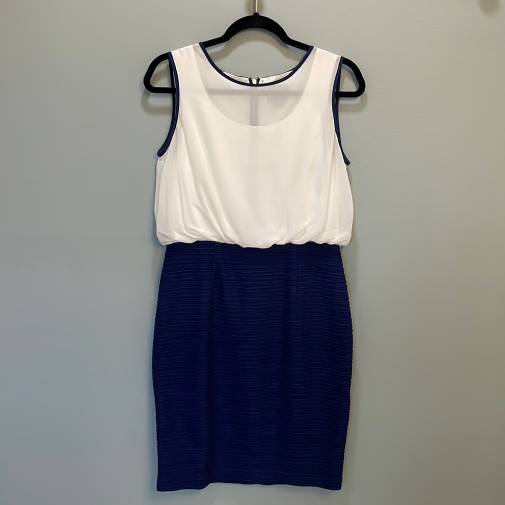 White & Navy Dress